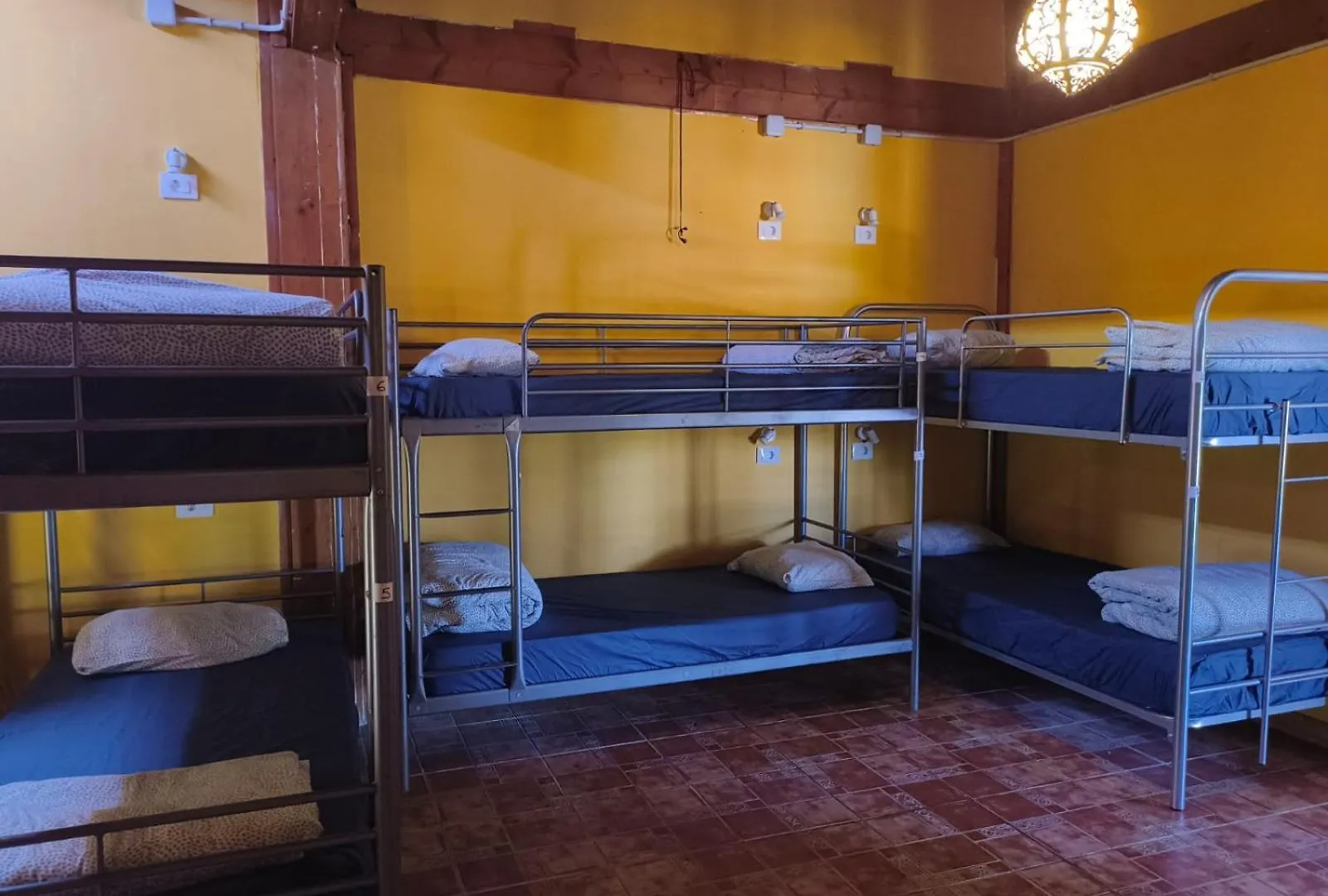 Gæstehus Hostel Los Amigos By Youroom La Mareta